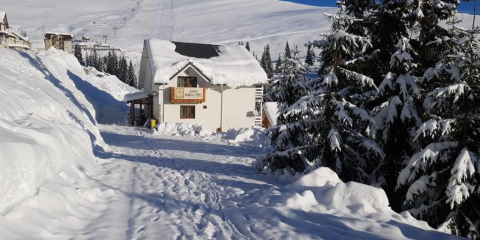 Casa Bunicutei