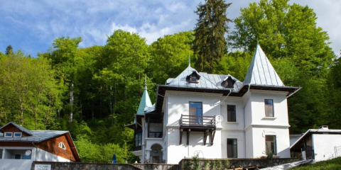 IL Piccolo Castello Busteni