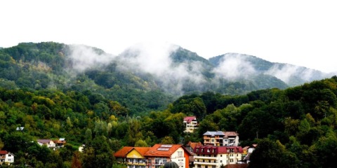 Olanesti