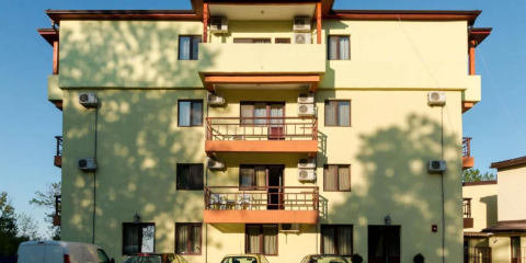 Vilele Soarelui